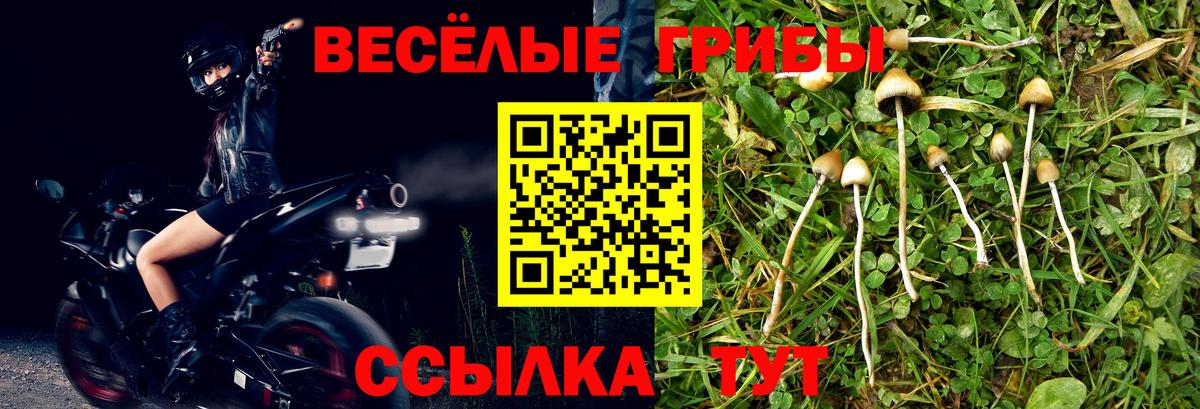 Галлюциногенные грибы Magic Shrooms  Вход с VPN  где найти   Галлюциногенные грибы GOLDEN TEACHER  Курчалой 