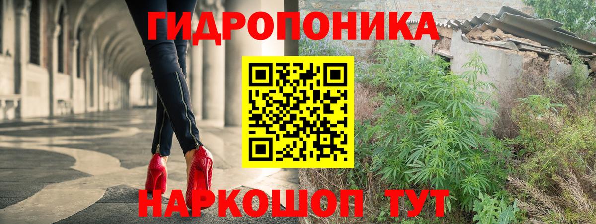 Бошки марихуана Ganja Курчалой